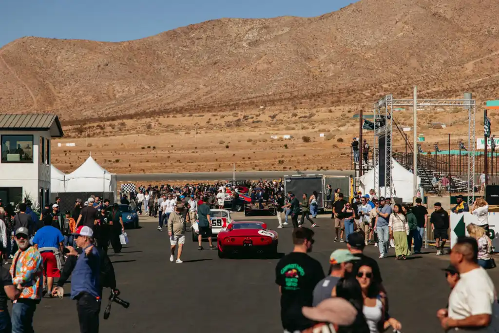 The Return of Willow Springs