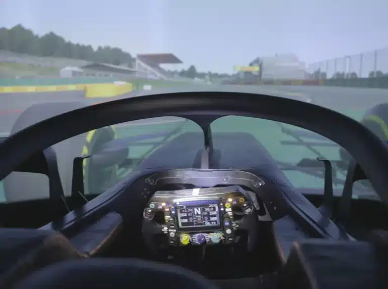 F1 Sim Development Driver
